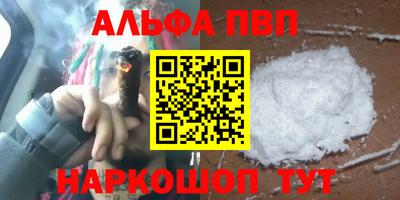 СК Кингисепп
