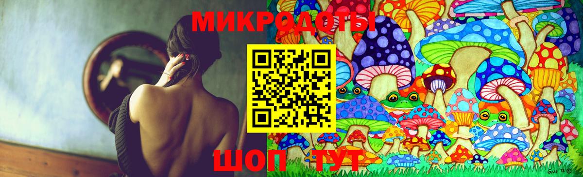Псилоцибиновые грибы Psilocybine cubensis Горячий Ключ